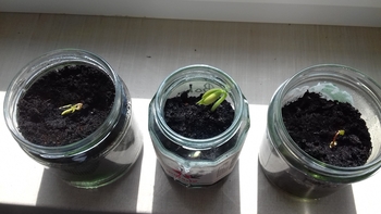 Notbetreuung Homepage 7